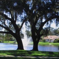 Our pond welcomes residents and visitors to Gulf Trace.