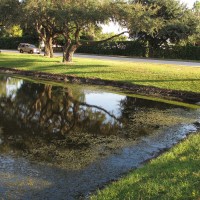 One of our scenic ponds.