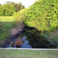One of our scenic ponds.