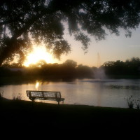 Photo Of Fountain In Pond with Sun Setting Showing Bench and Shoreline
